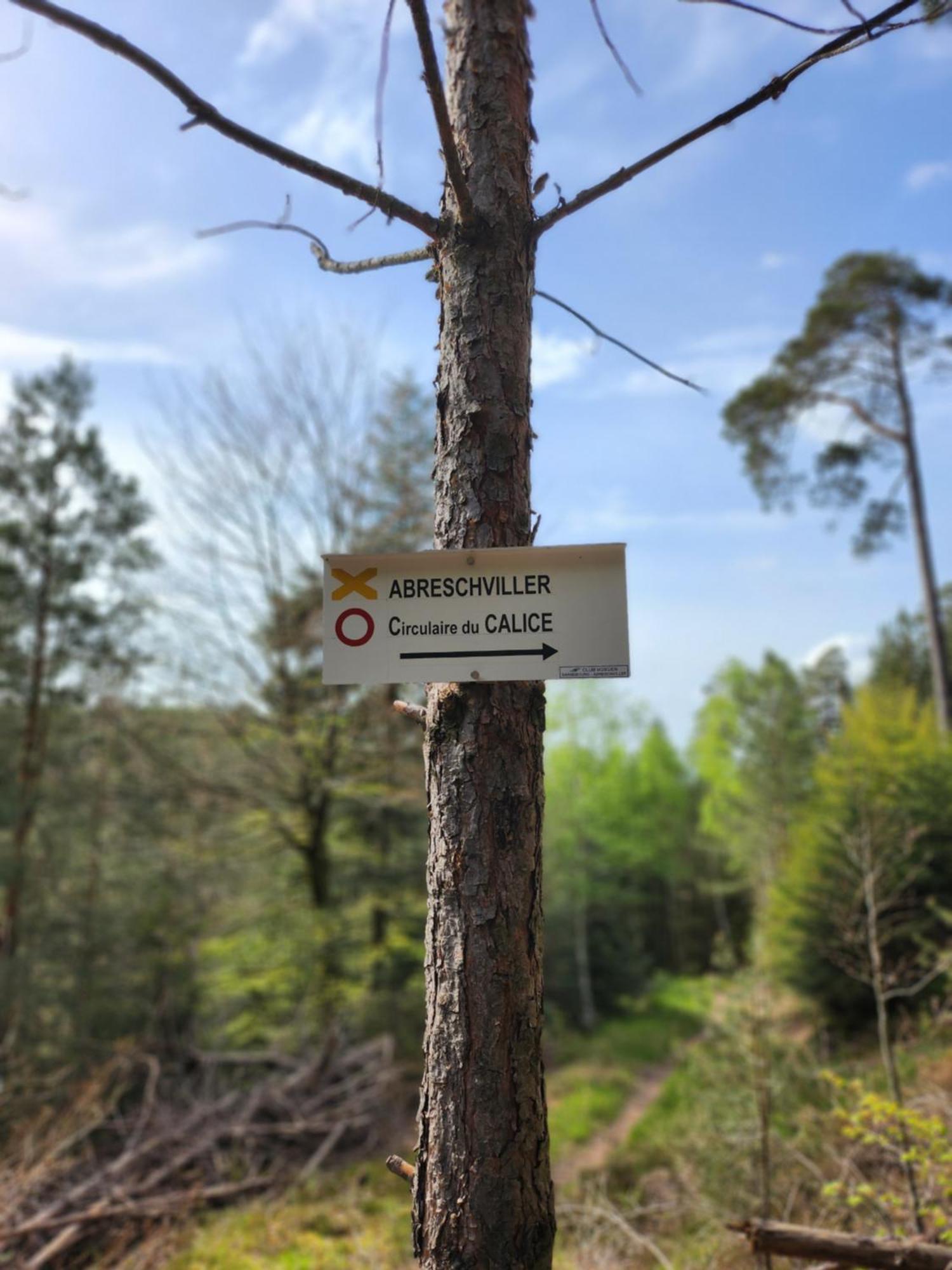 Le Nid Du Calice Villa Abreschviller Luaran gambar